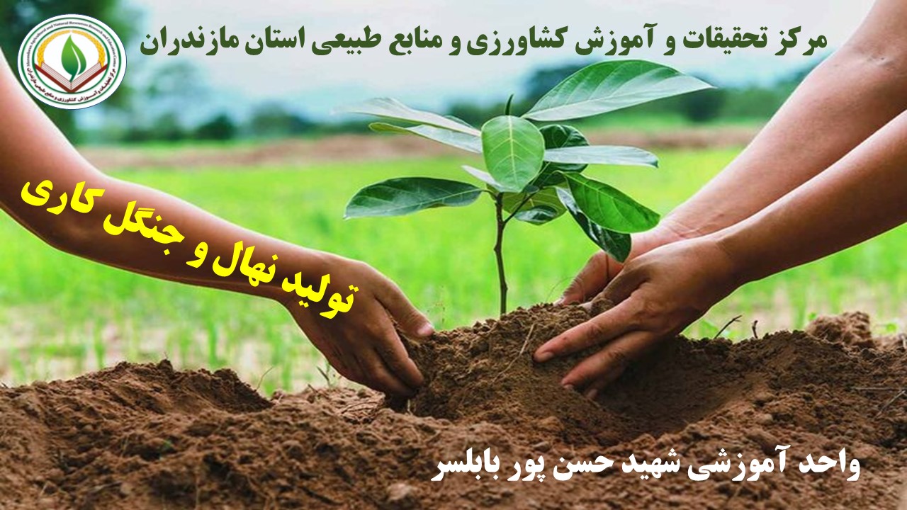 تولید نهال و جنگل کاری - بابلسر- بهار 1405