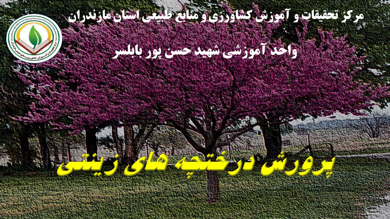 پرورش درخت و درختچه های زینتی (آمل) - بهار 1405