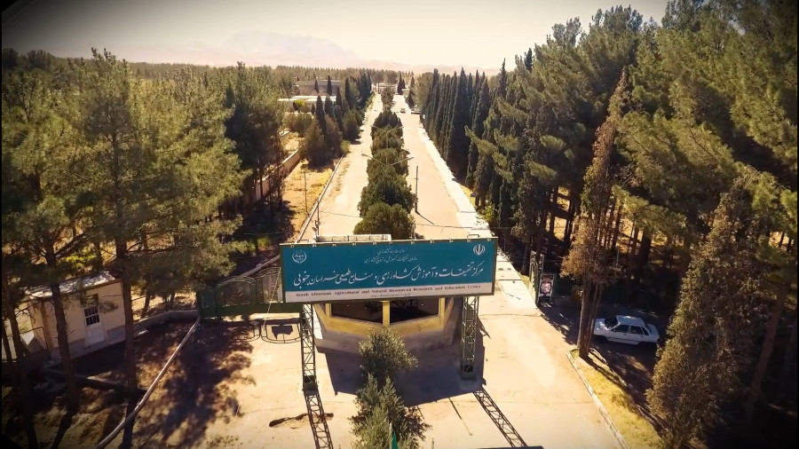 تولید نهال پاییز 1404 بیرجند