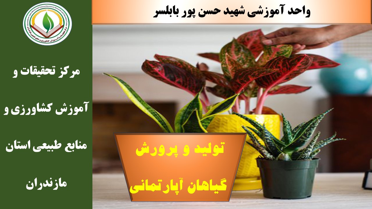 پرورش گیاهان آپارتمانی بابلسر- بهار1405